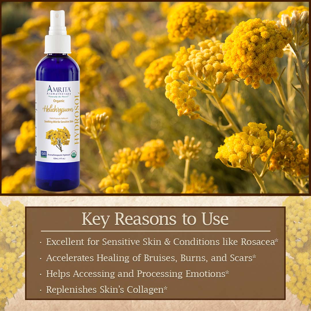 Click here to learn more about Helichrysum Serotinum Hydrosol