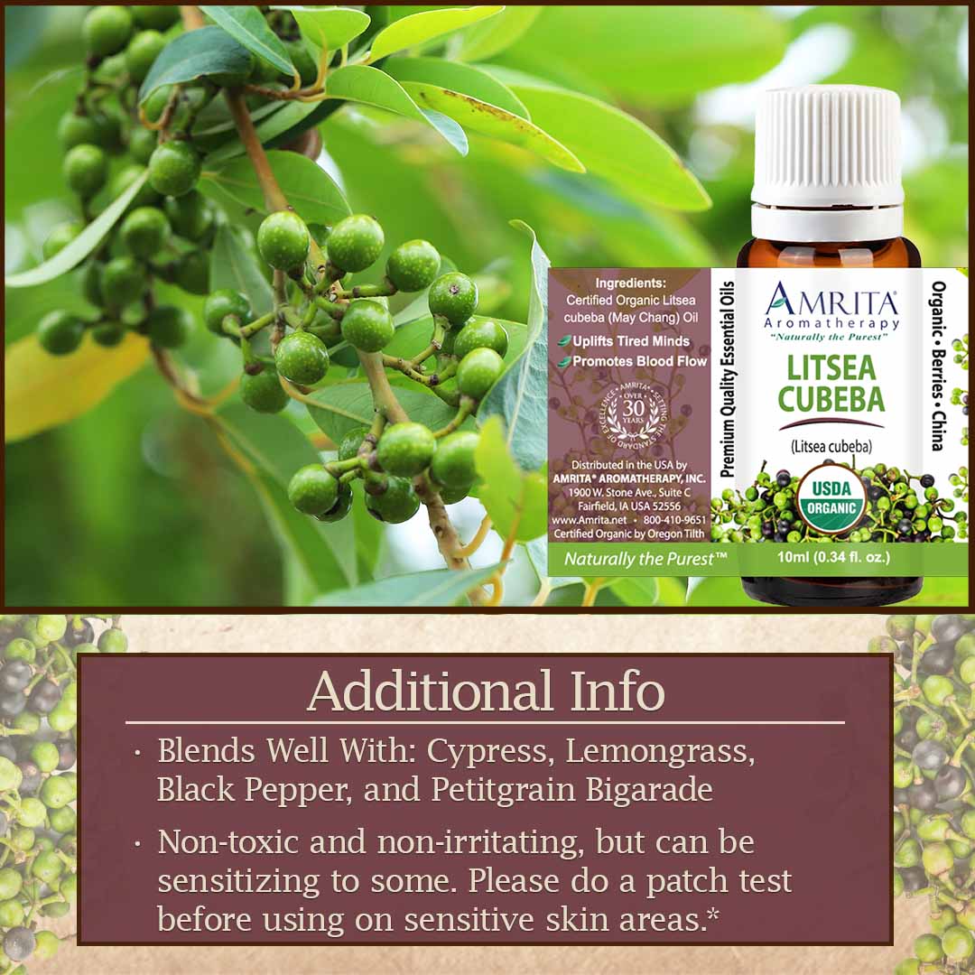 Click here to shop Litsea Cubeba