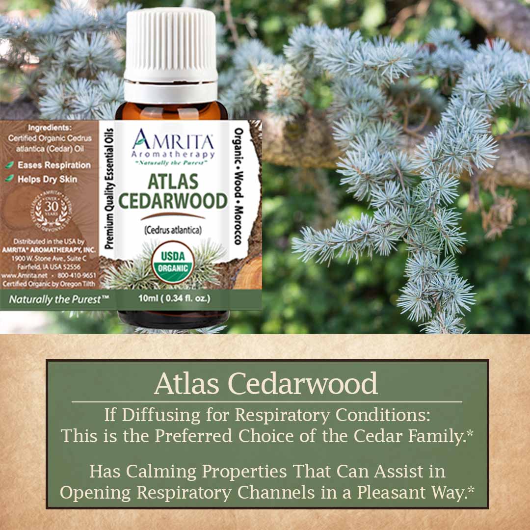 Click here for Atlas Cedarwood