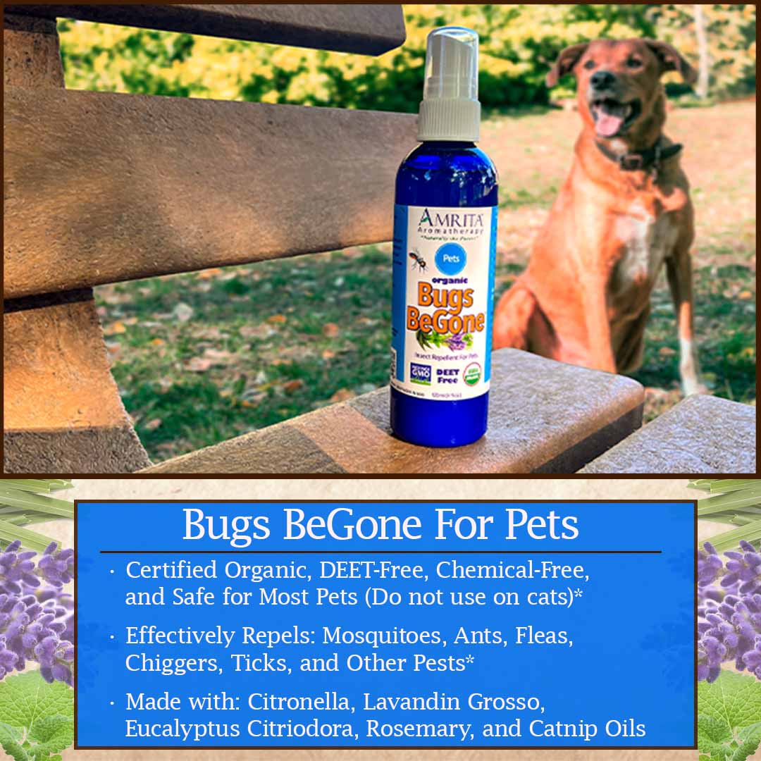 Click here to learn more about Bugs BeGone for Pets