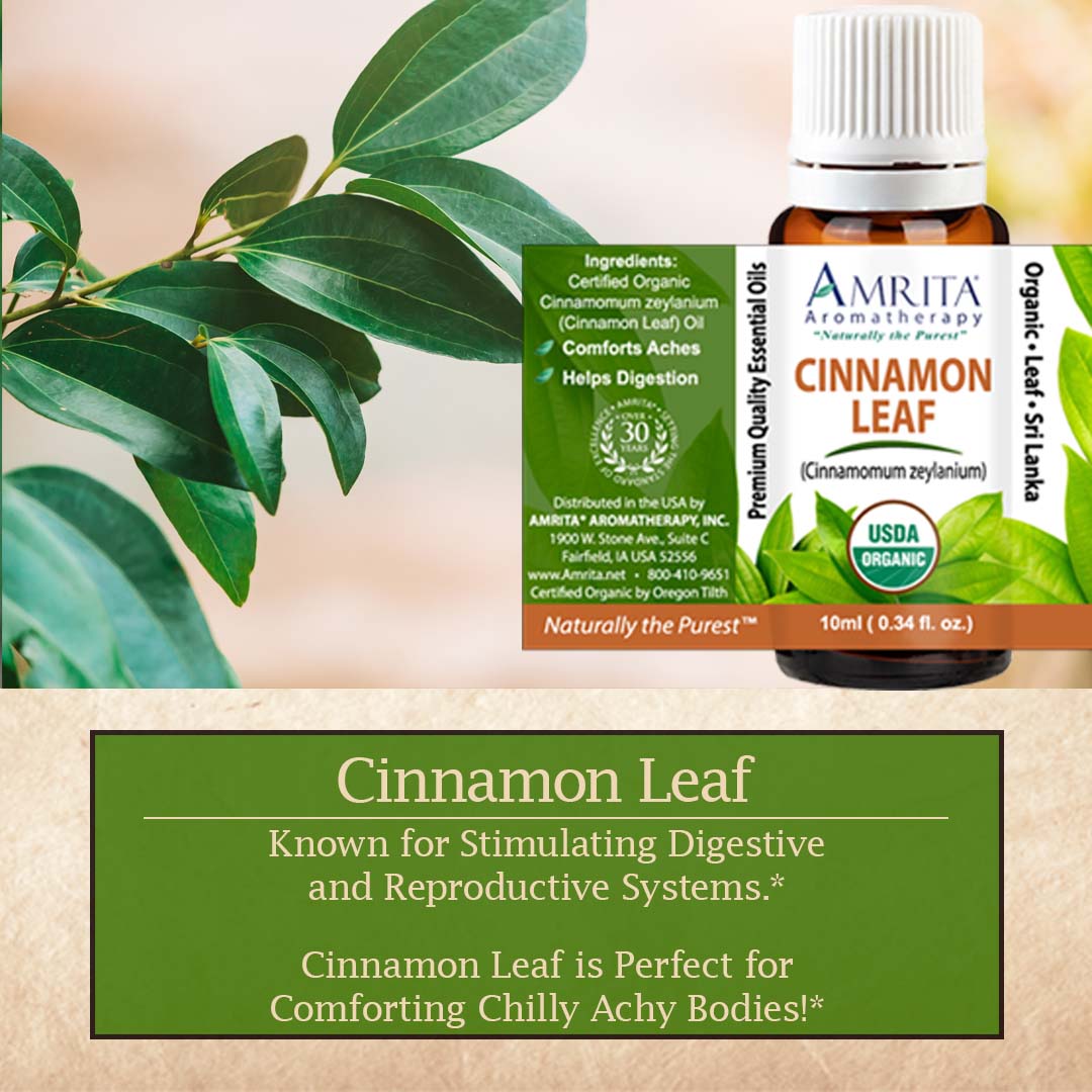 Cinnamon Leaf vs. Cinnamon Bark Essential Oil For DIY Beauty Recipes –  Moksha Essentials Inc.
