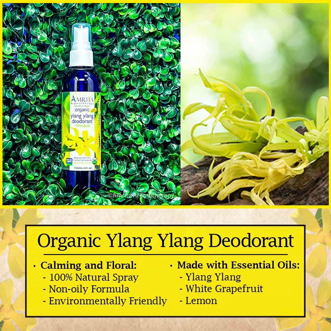 Click here to learn more about Ylang Ylang Deodorant