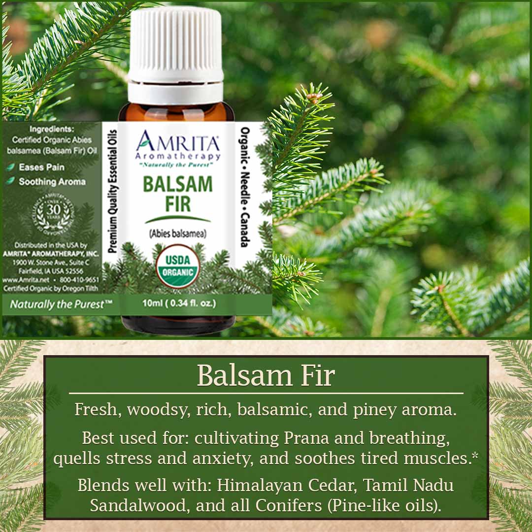 Click here to learn more about Balsam Fir