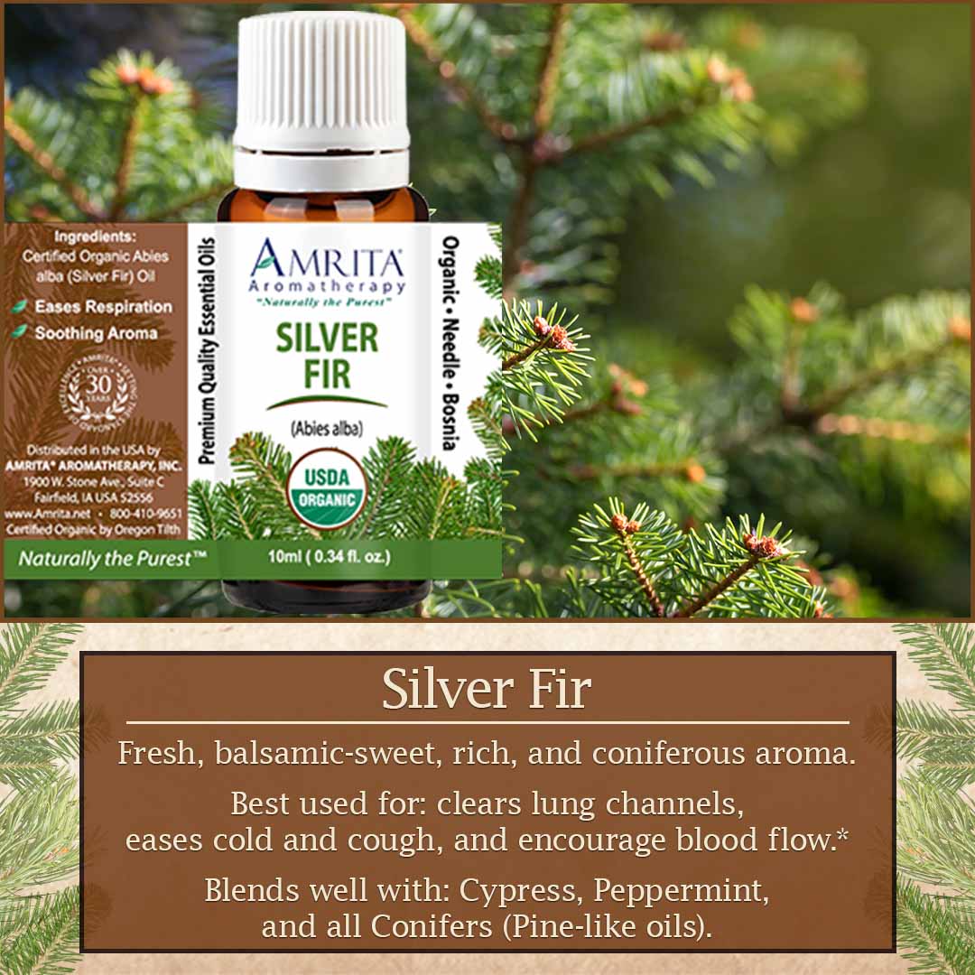 Click here to learn more about Silver Fir