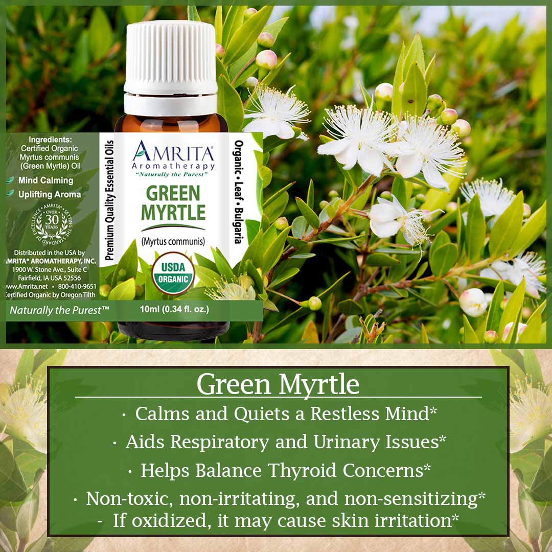 Click here to learn more about Green Myrtle