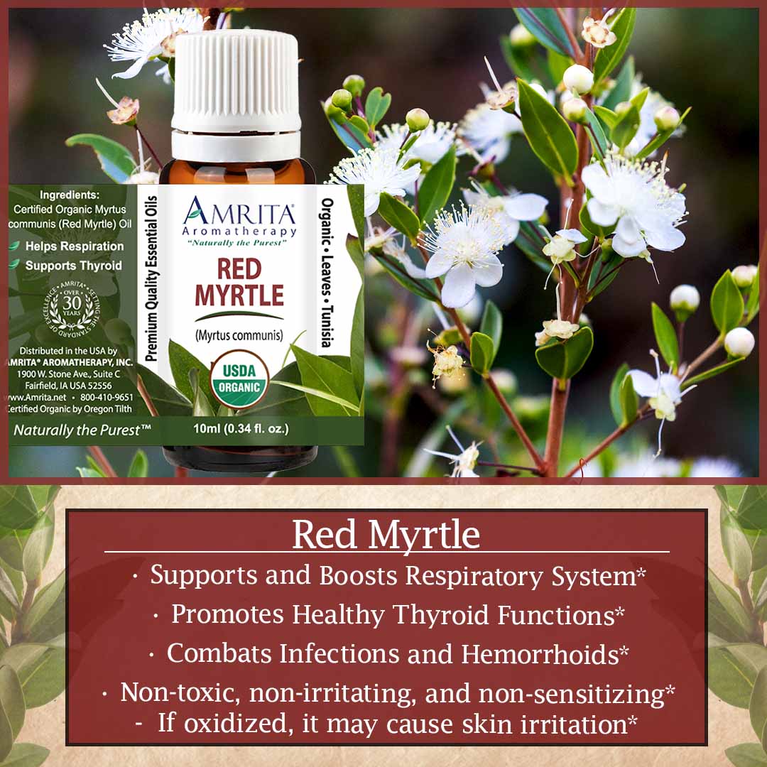 Click here to learn more about Red Myrtle