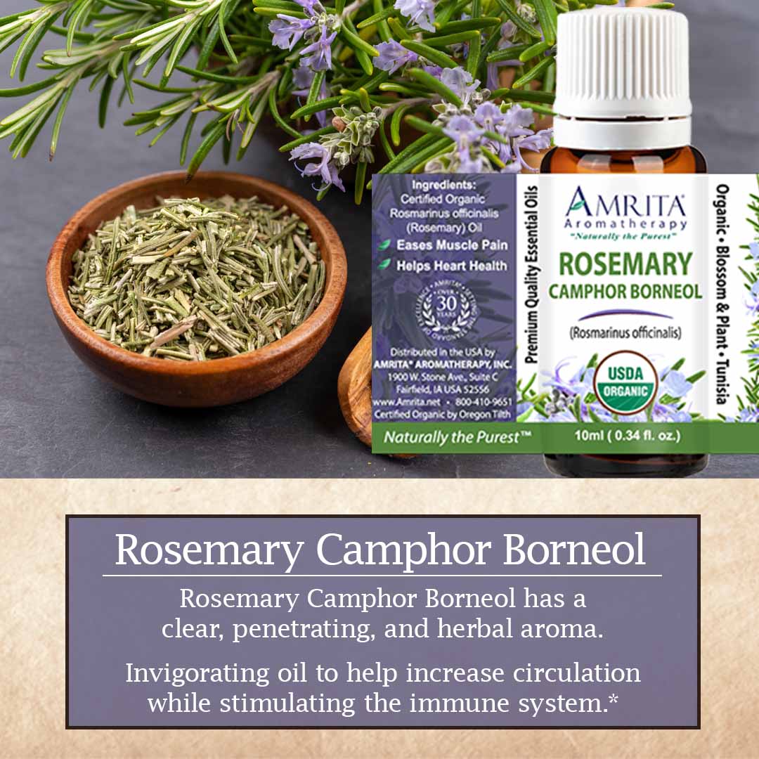 Click here for Rosemary Camphor Borneol Click here for Rosemary Camphor Borneol